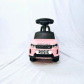 Personalised Pink Licence Plate with Ribbon Detail | Kids Ride On Car | Toddler Birthday Gift | Smyths Toys Car